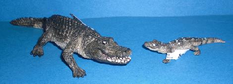 Alligator und Baby