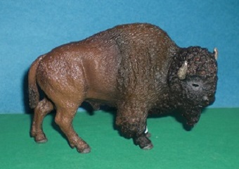 Bison