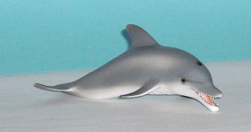 Delfin Flipper