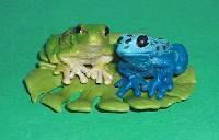 Froschset