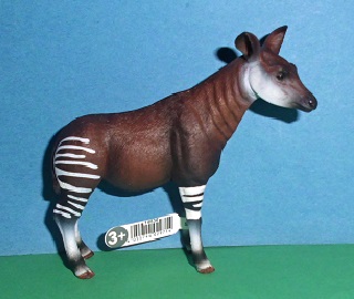 Okapi